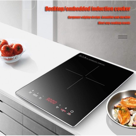 Picnic Bag Portable Induction cooktop 3000W 3500W SensorTouch electromagnetic hob with Child Lock countertop Burner with Date-Timer 30 Power Levels for Iron and Stainless Steel Kochgesch,3000W B092HS85PN