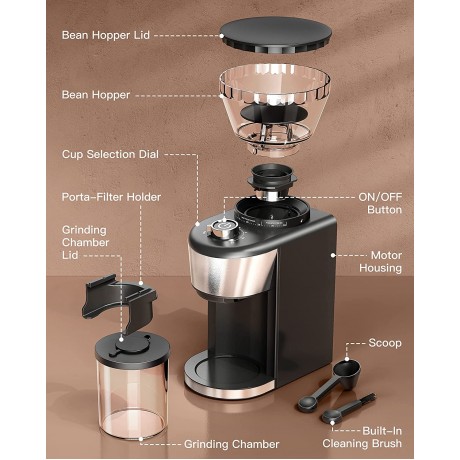 Burr Coffee Grinder Stainless Steel Coffee Grinder Electric with 35 Grind Settings for 2-12 Cups Conical Burr Mill Coffee Bean Grinder for Espresso Drip Coffee Pour Over & French Press Coffee B09BB5X2DG